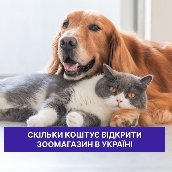 Скільки коштує відкрити зоомагазин в Україні: реальні цифри